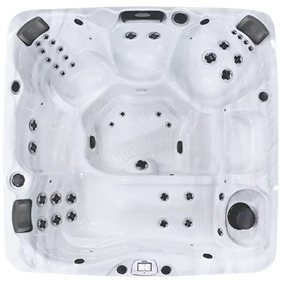 Avalon-X EC-840LX hot tubs for sale in Berkeley