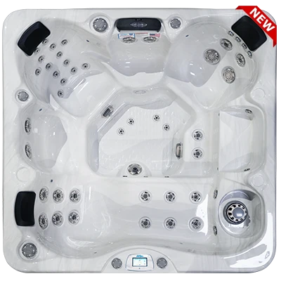 Avalon-X EC-849LX hot tubs for sale in Berkeley