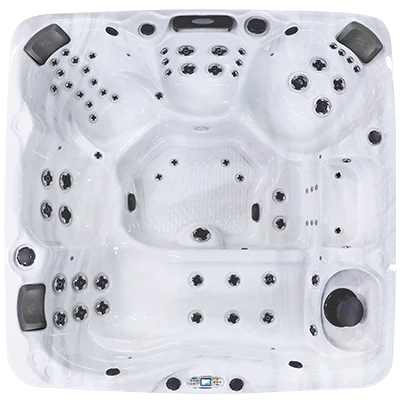 Avalon EC-867L hot tubs for sale in Berkeley